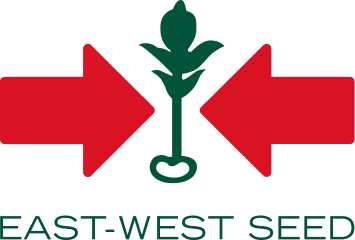 EWS